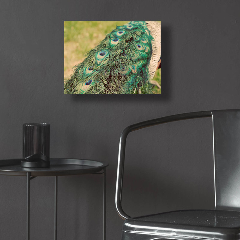 «Peacock Feather Tail 01» par Tom Quartermaine, art mural en verre acrylique, H 12 po x l 16 po x P 0,13 po