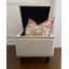 Repose-pieds SEAT4U Beckmann-1868232273