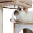 Stonecrest 35'' H Cat Tree-908575465
