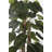 Panama 66" Artificial Scindapsus Aureus Tree in Planter
