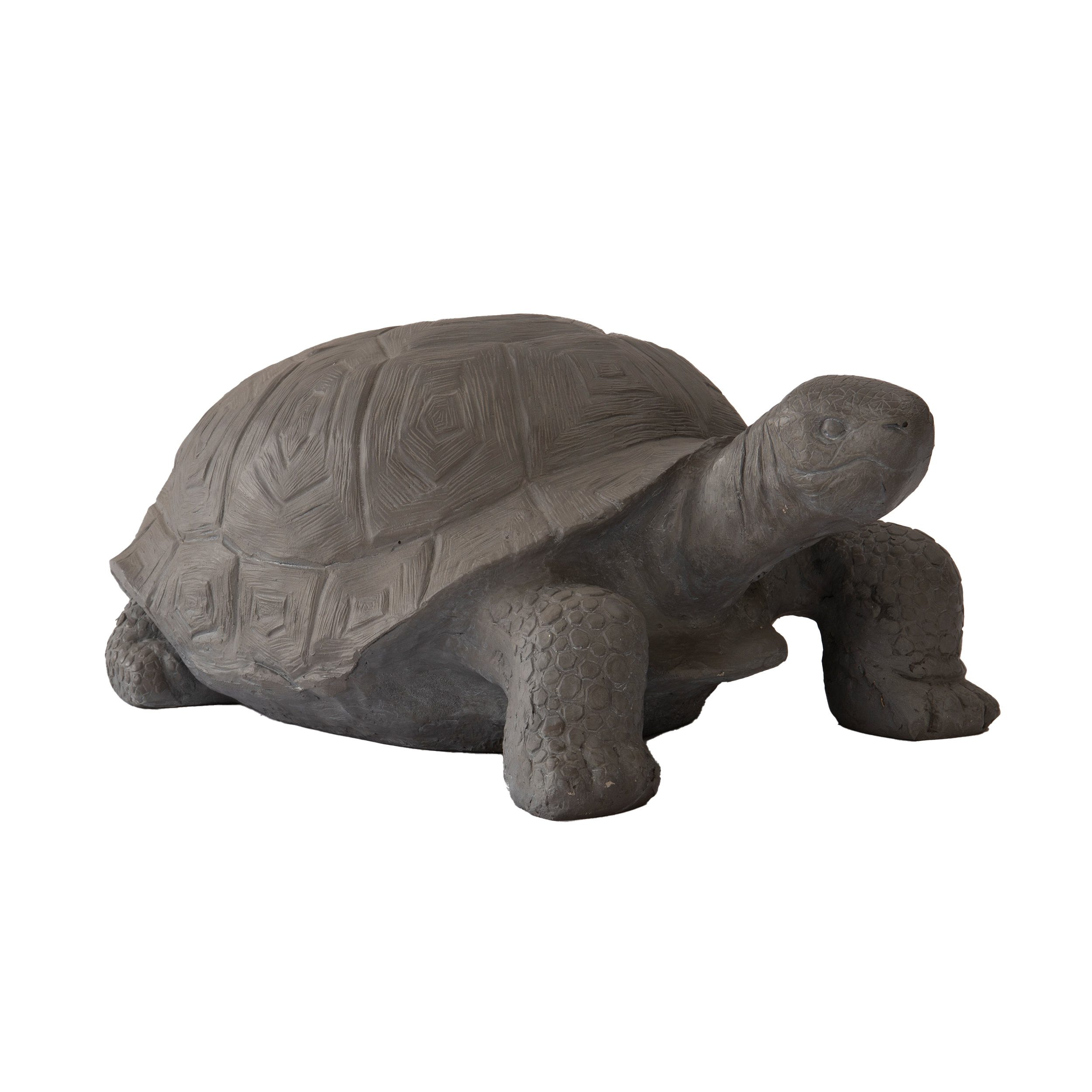 Bay Isle Home™ Fayyaz Turtle / Tortoise Weather Resistant Concrete ...