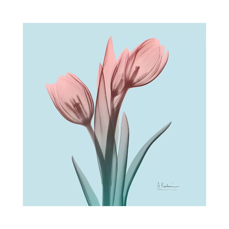 Awakening Tulips I by Albert Koetsier - Wrapped Canvas Print, 45.72 cm H x 45.72 cm W x 3.175 cm D