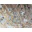 Sona One-of-a-Kind 9' X 13'11" Area Rug
