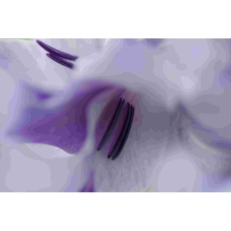 Un cadeau en mauve III, H 24 po x l 36 po