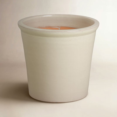 Ceramic Pot Planter