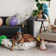 Pets Buddy's Bash Fabric