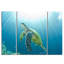 3 - Piece Canvas Art