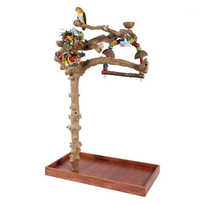 Cyprian 140cm Wood Bird Play Stand
