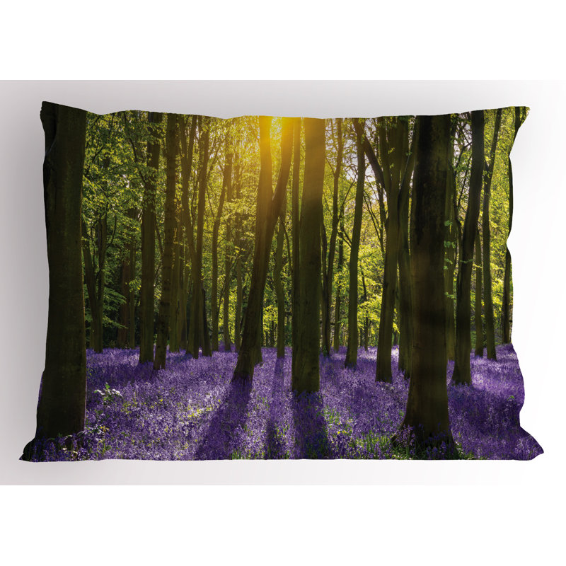 Ensemble de 2 taies décoratives Ambesonne Woodland Bluebell Blossoms 26 po x 20 po