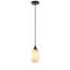 Luminaire suspendu réglable à 1 lumière à intensité variable E26-1090002033