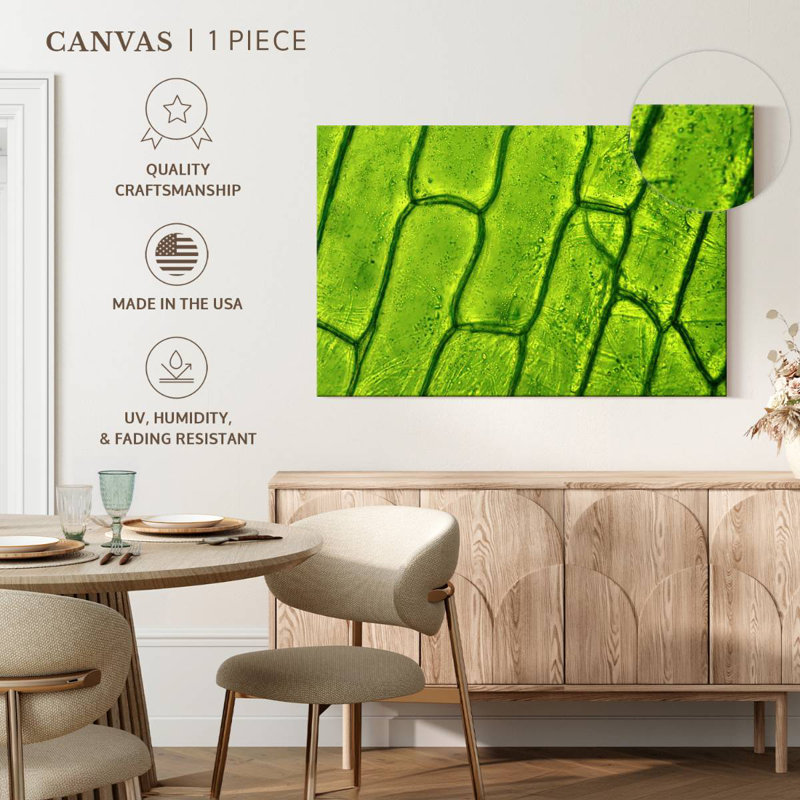 Harnek Plant Cells, 8" H x 12" W