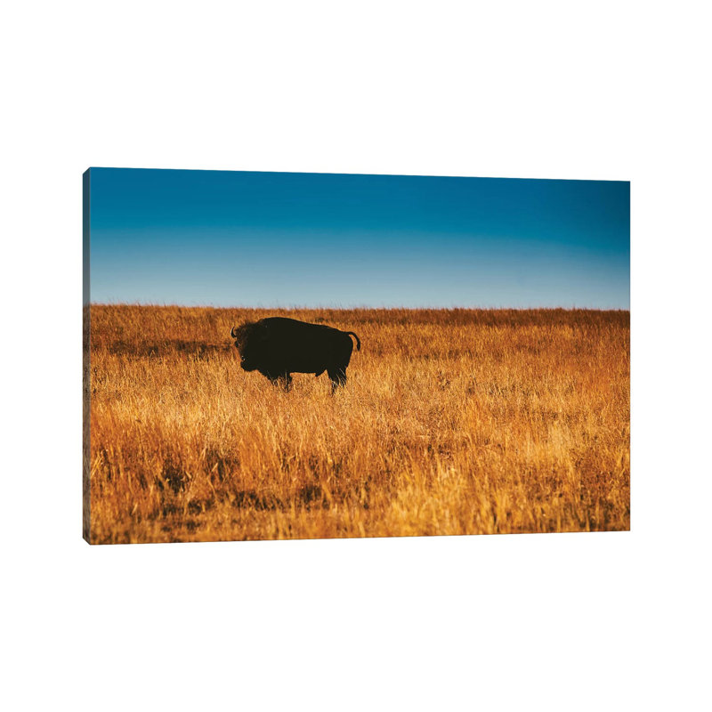 " Wild Buffalo " by Bethany Young, 26" H x 40" W x 1.5" D