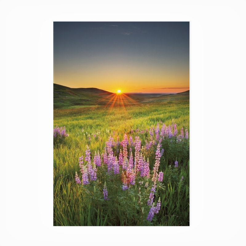 Toile d'extérieur «Prairie Sunrise» par Alan Majchrowicz, H 19 po x l 12 po x P 1,5 po