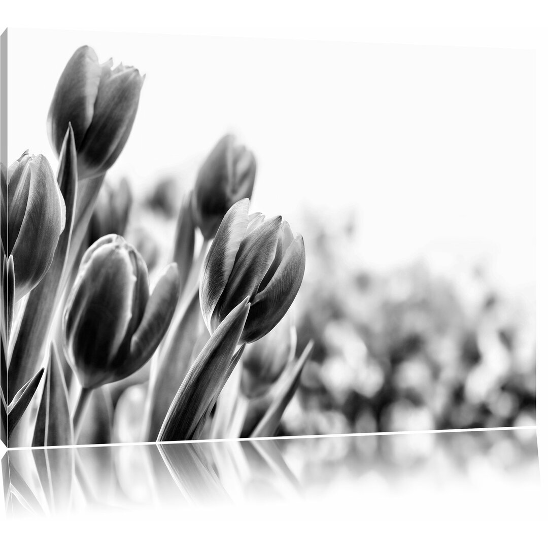 Leinwandbild Bunte Tulpenwiese in Monochrom