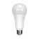 16.5 Watt White LED Bulb