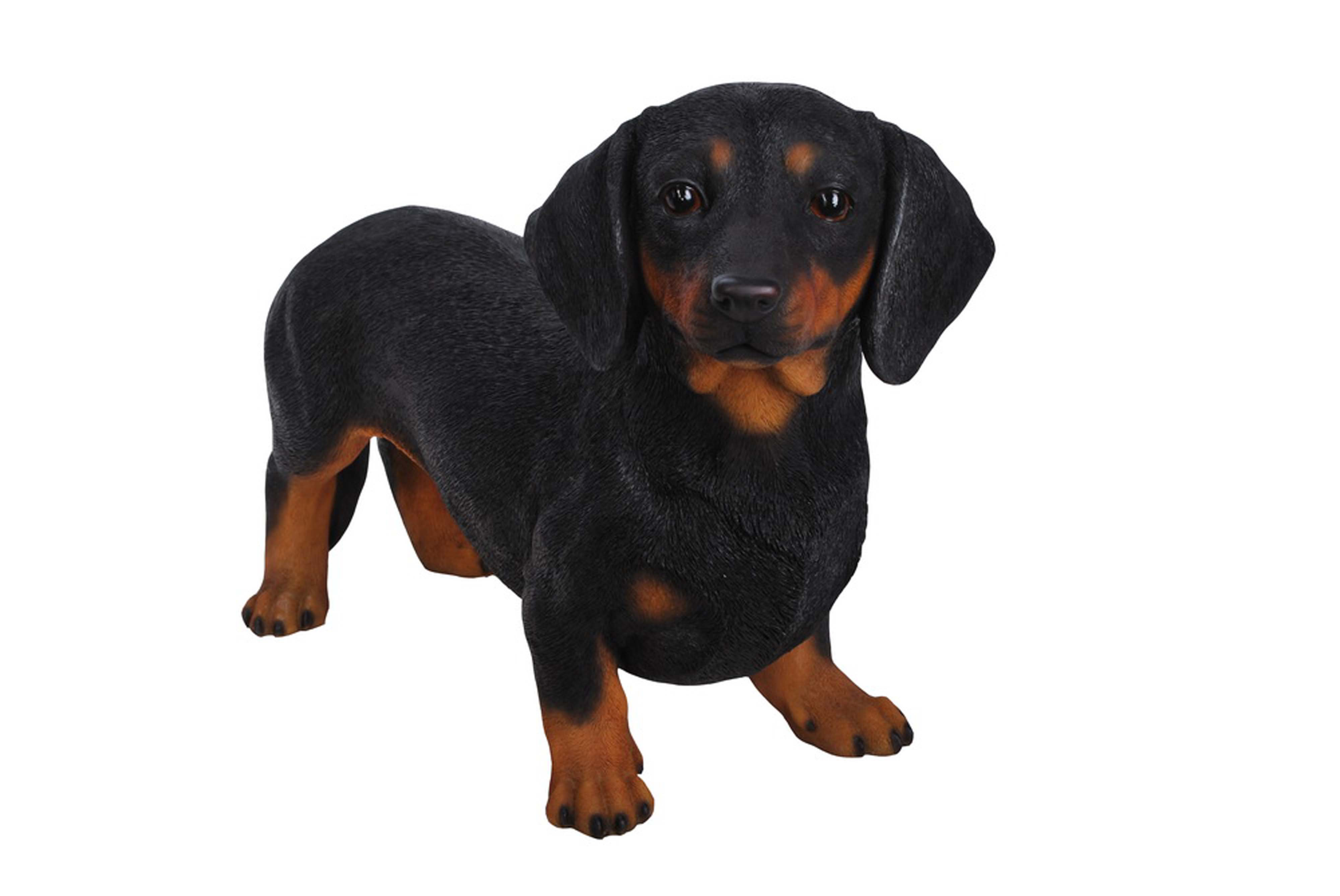 Hi-Line Gift Ltd. Howling Dachshund Puppy Statue & Reviews