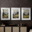 ANIMALS Series CCD - Impression encadrée sur mesure de qualité supérieure - 3 pièces-417440041-417440045