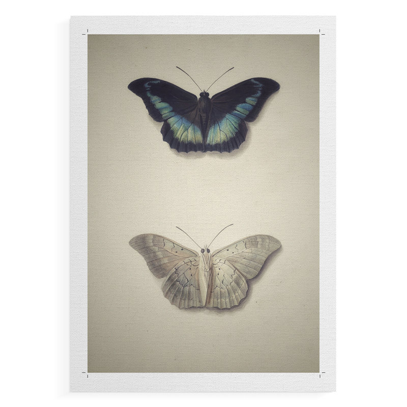 Imprimé animalier rétro - impression sur toile seulement, H 36 po x l 24 po