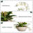 Faux Orchid Arrangement In Pot