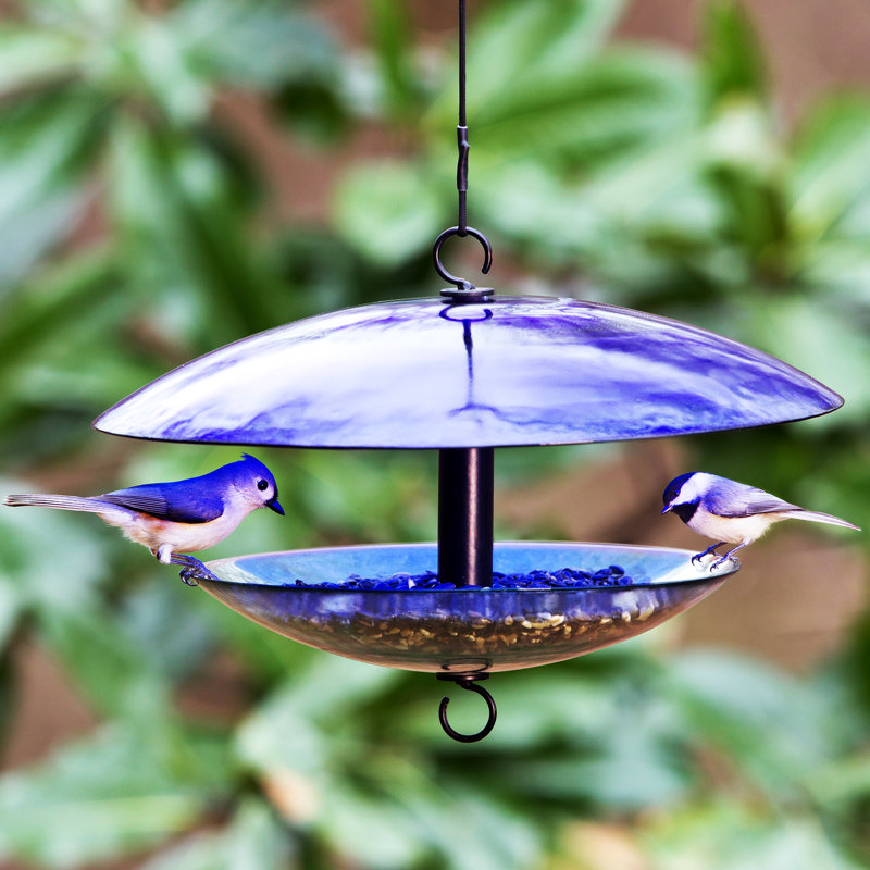 Mangeoire décorative en verre recyclé Dareck, Bleu marine
