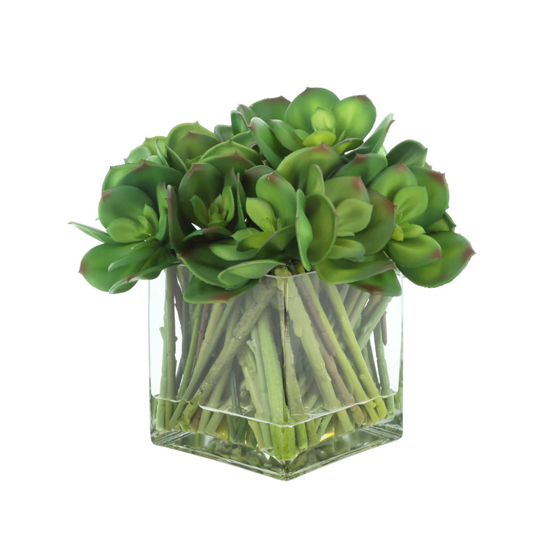 Arrangement Echeveria dans un vase en verre