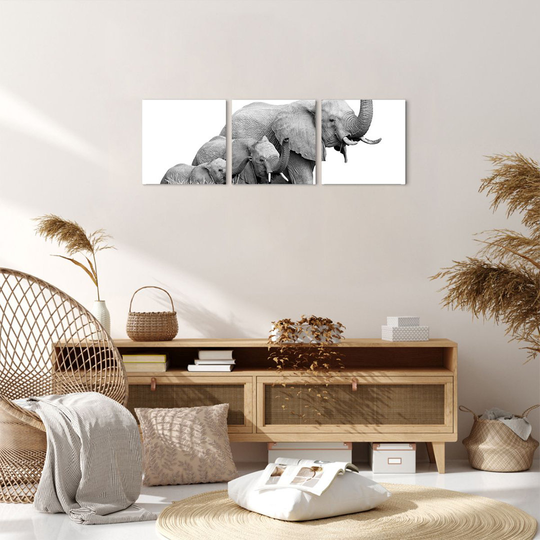 3-tlg. Leinwandbilder-Set Elephants Family Black And White