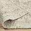 Oscoda Abstract Area Rug in Gray