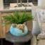 Riey Faux Foliage Plant in Ceramic Pot