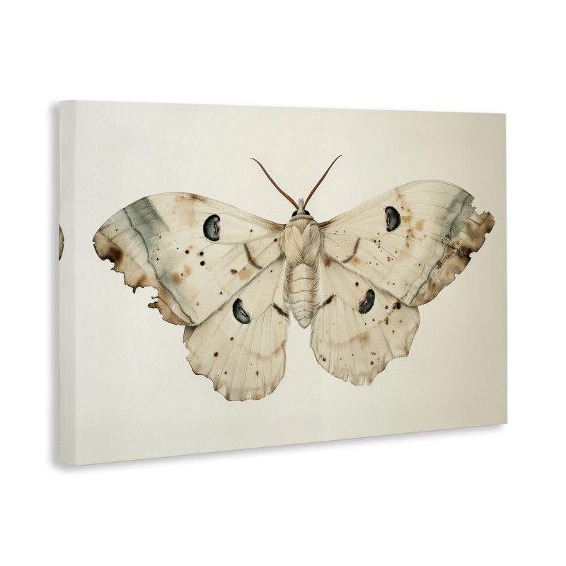 Art mural rétro sur toile papillon de nuit beige par Petal Prints Design, H 24 po x l 36 po