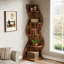 Arhab Corner Bookcase-312564151