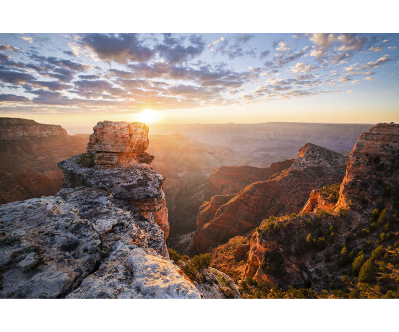 Wrapped Canvas Print, 50.8 cm H x 76.2 cm W