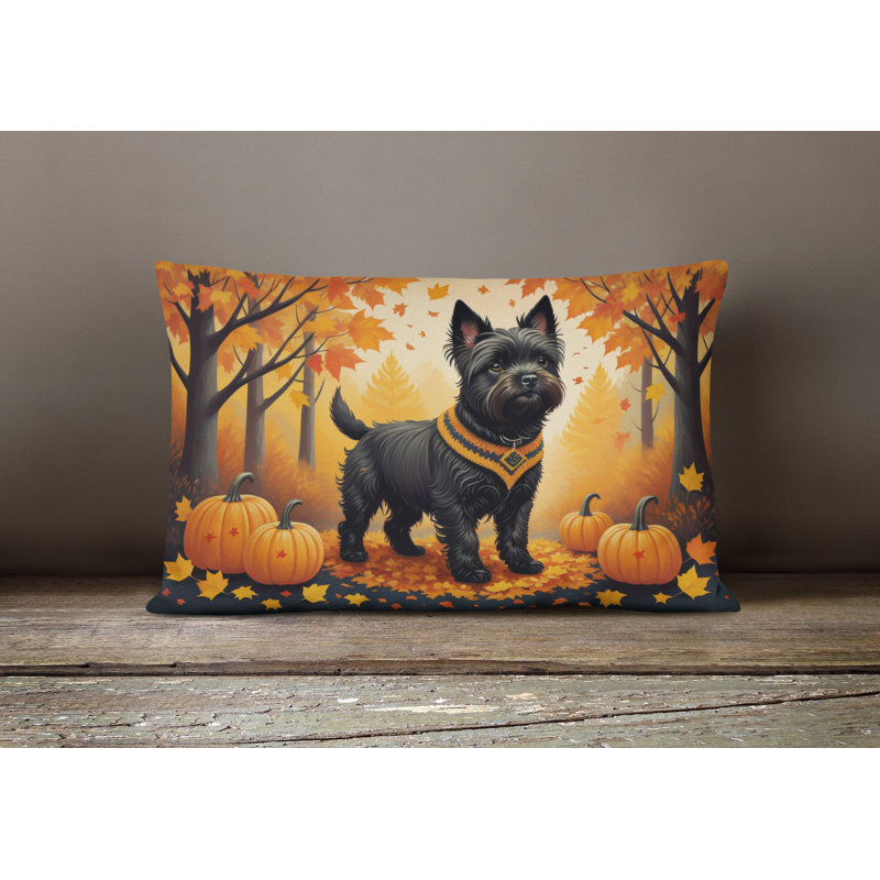 Other/No Pattern Outdoor Throw Pillow