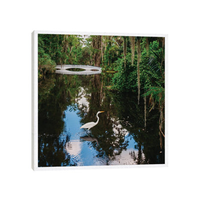 Charleston's Magnolia Plantation VII by Bethany Young - Print on Canvas