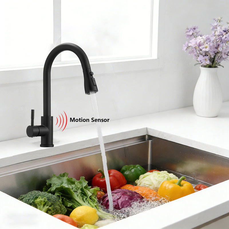 Touchless Kitchen Faucet With Pull Down Sprayer, Black