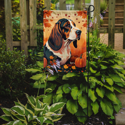 Basset hound, drapeau de jardin d'automne