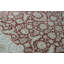Oriental Area Rug in Red/Ivory
