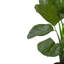 Plante de plancher artificielle 4 pi Calathea