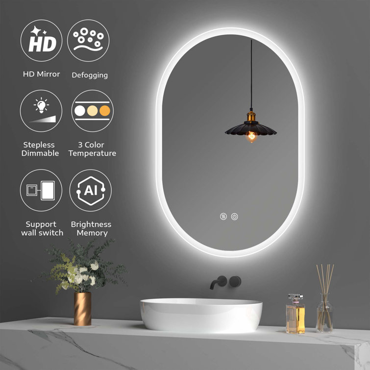 Orren Ellis Oval LED Wall-Mounted Bathroom Vanity Mirror with Anti-Fog and  Dimmable & Reviews