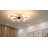 Anwitha 10 - Light Dimmable Sputnik Sphere Chandelier