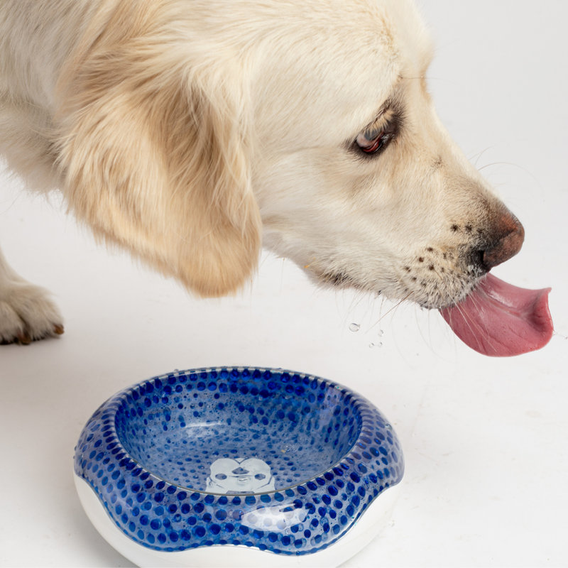 16oz. Pet Bowl