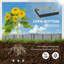 Planter Box