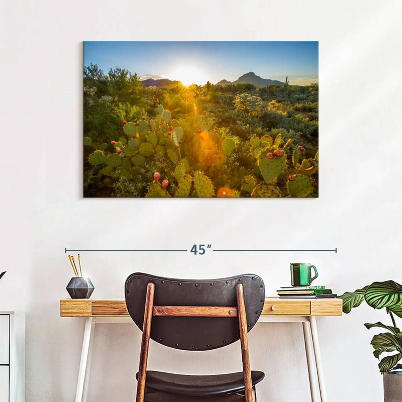Harnek Cactus Desert Garden, H 26 po x l 39 po