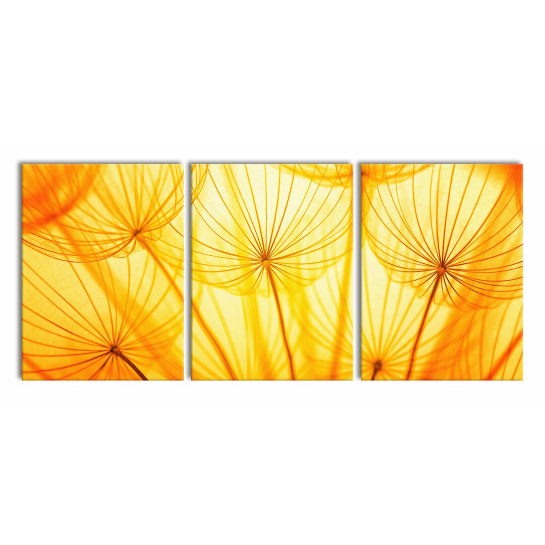 3-tlg. Leinwandbilder-Set Pusteblumen oranges Licht