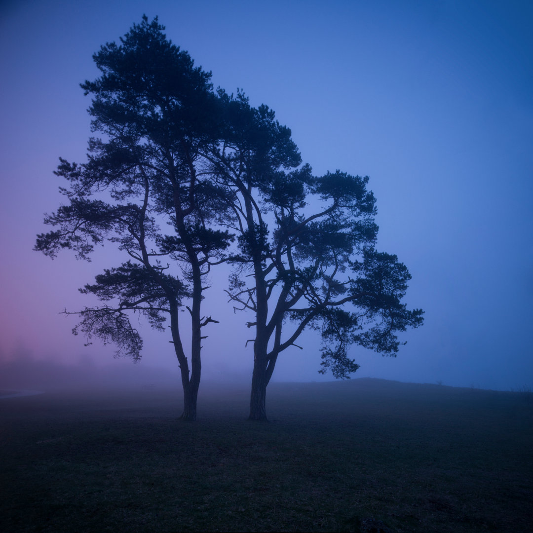 Baum in Spooky von DavidWiberg - Drucken