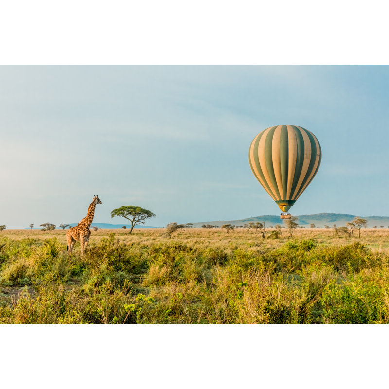 Hot Air Balloon by Rocket K - Wrapped Canvas Print, 81cm H x 122cm W