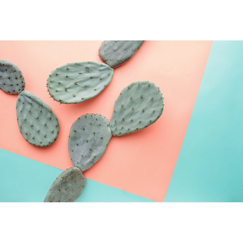 Cactus On Colourful Background - Wrapped Canvas Print, 61cm H x 91cm W x 3.8cm D