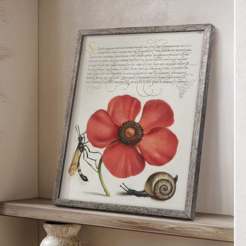 Reproduction encadrée Hoefnagel Tropical, H 11 po x l 9 po