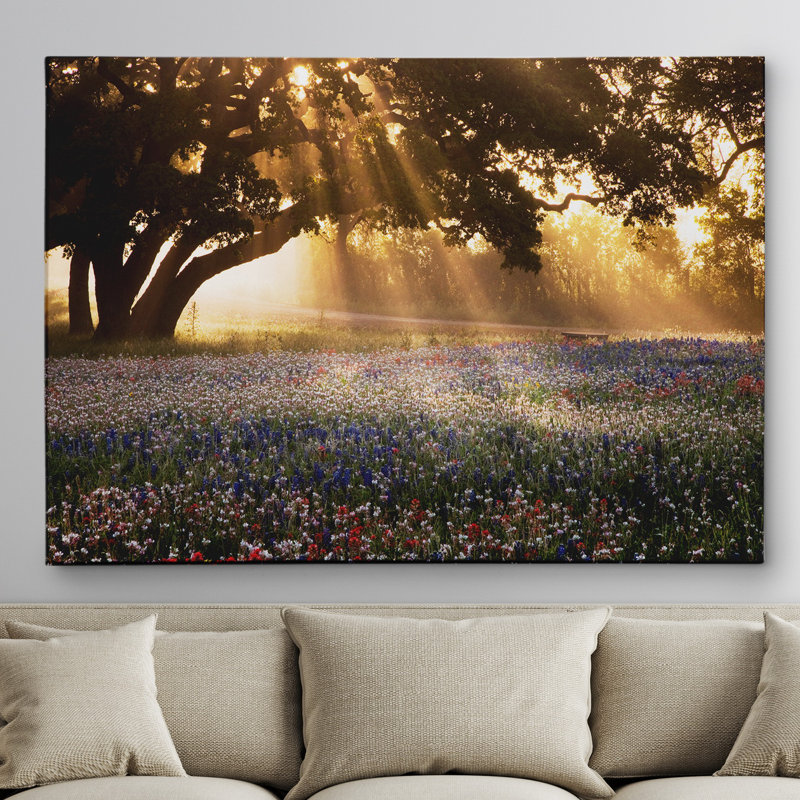 " Morning Meadow Sunrise ", 16" H x 20" W x 1.5" D, Wrapped Canvas