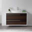 Goreme 42" W Single Wall-Mounted Vanity