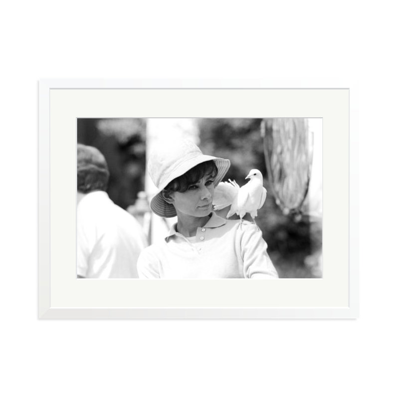 Audrey Hepburn with a Dove, White, 23" H x 31" W